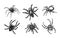 Spider sketch vector set of illustration. Hand drawn style picture.