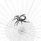 Spider sketch vector set of illustration. Hand drawn style picture.