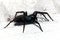 Spider, Small Black House, Badumna Longinqua