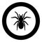 Spider or tarantula black icon in circle