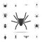 spider tarantula. Detailed set of insects items icons. Premium quality graphic design. One of the collection icons for websites, w