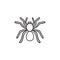 Spider tarantula hand drawn sketch icon.