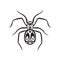 spider tattoo. Vector illustration decorative design