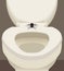 Spider On Toilet Seat