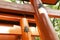 Spider in the torii