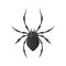 Spider vector illustration in a flat style