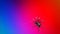 Spider Walks Across Colorful Background on Top View - 3D Rendering Animation