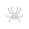 spider wasp icon. Element of insect for mobile concept and web apps icon. Thin line icon for website design and development, app