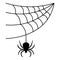 The spider weaves a web. Black Widow. Silhouette. The insect hangs on a thin thread in anticipation of the victim.