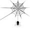 Spider web