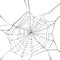 Spider web