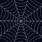 Spider web background for Halloween. Halloween dark symmetrical wallpaper. Vector illustration