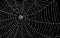 Spider web on black background with paths