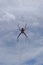 Spider in web with clouds in the background.
