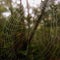 Spider web filled with morning dew in the middle of a forest on a hiking trail