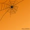 Spider on web on halloween orange background for your design, st