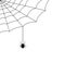Spider web with hanging Spider. Corner Cobweb