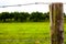 Spider Web near the Wooden Fence