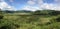 Spider Web Rice Field panorama