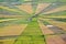 Spider web rice paddy field