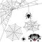 Spider Web Set