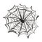 Spider web with a spider in the center vector illustration