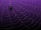 Spider Webs on Purple Background