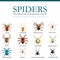 Spiders cartoon set, dangerous insects collection