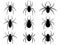 Spiders icons set. Black silhouettes of spiders isolated on white background. Vector illustration