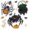 Spiders and witchs brew. Set of Halloween objects