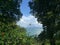 Spiderweb in tropical forest near the sea