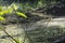 spidery cobweb scenery at the meadow