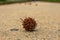 A Spike Ball in the Center of the Sidewalk