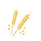 Spike wheat or barley vector icon, ear and grain, cereal corn, rye and rice crop, agriculture symbol, oat plant. Golden