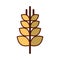 Spike wheat isolated icon