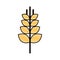 Spike wheat isolated icon