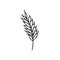 Spikelet hand drawn in doodle scandinavian minimalism style. single element, icon, sticker, poster, card. grain, cereal, harvest,