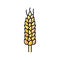 spikelet yellow wheat color icon vector illustration