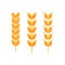 Spikelets of cereals. Stylized drawing in a flat style on an isolated white background. Vector illustration