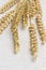 Spikelets of durum wheat, flat lay, white background