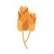 Spikelets of wheat bakery flat icon design