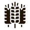 spikelets of wheat icon Vector Glyph Illustration