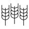 Spikelets of wheat thin line icon. Agriculture vector illustration isolated on white. Grain outline style design