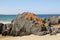 Spiky Beach, Tasmania, Australia