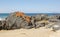 Spiky Beach, Tasmania, Australia