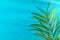 Spiky Palm Tree Leaf on Painted Light Blue Wall Background. Bright Morning Sunlight Leaks. Hipster Funky Style Pastel Colors
