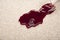 Spilled Red Wine on Carpet