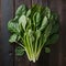 Spinach arranged on kitchen table, fresh and nutritious greens