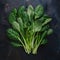 Spinach arranged on kitchen table, fresh and nutritious greens