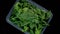 Spinach green lettuce leaves in a plastic box, twirling on a black background.